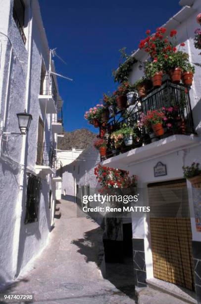 TREVELEZ, ANDALOUSIE, ESPAGNE.