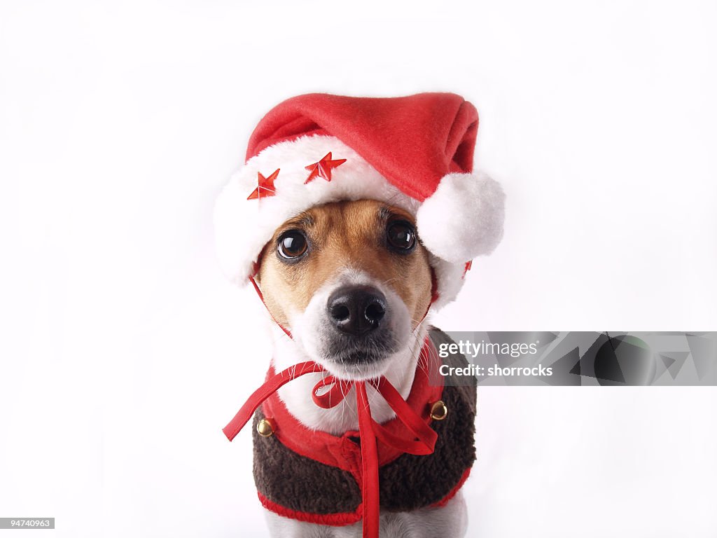 Santas Elf