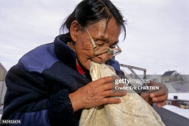 Une fois la peau de phoque sechee , il faut assouplir et blanchir le cuir en tirant dessus. Village de Tiniteqilaaq, Region d'Ammassalik.