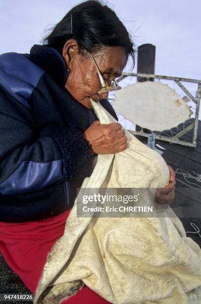 Une fois la peau de phoque sechee , il faut assouplir et blanchir le cuir en tirant dessus. Village de Tiniteqilaaq, Region d'Ammassalik.