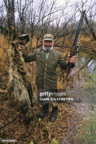 Sergei, garde-chasse anti-braconnier montre la peau d'un tres jeune ours et le fusil qu'il vient de confisquer a un braconnier. Les chiffres sont...