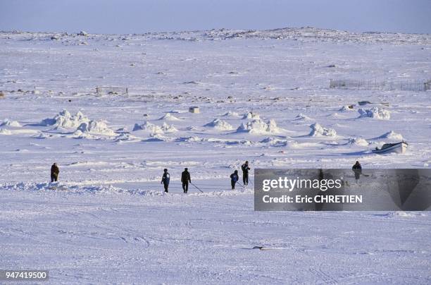 Sport national, le hockey est partique par les habitants de Kangiqtugaapik sur une patinoire 100% naturelle durant les huit mois de l'hiver arctique.