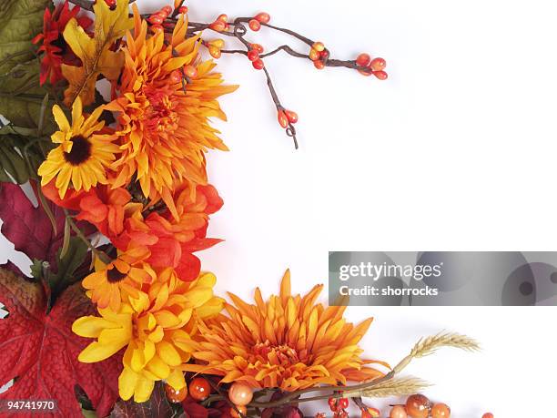autumn flowers frame - autumn flowers stock pictures, royalty-free photos & images