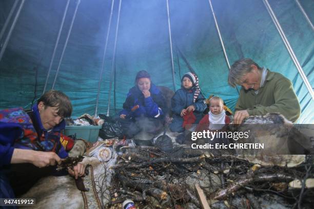 Autour du feu central du ''lavvu'' , assise sur des peaux de rennes, toute la famille partage le ''goikebiergu'' . Le renne constitue l'essentiel des...