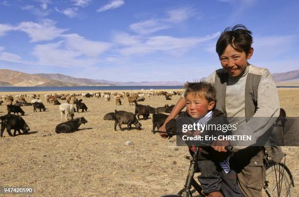 NOMAD CHILDREN ON BIKES KEEPING A WATCH ON THE FAMILY'S FLOCK OF OVIDAE, LAKE TOLBO NUUR, ALTAI RANGE, BAYAN OLGII PROVINCE, MONGOLIA.