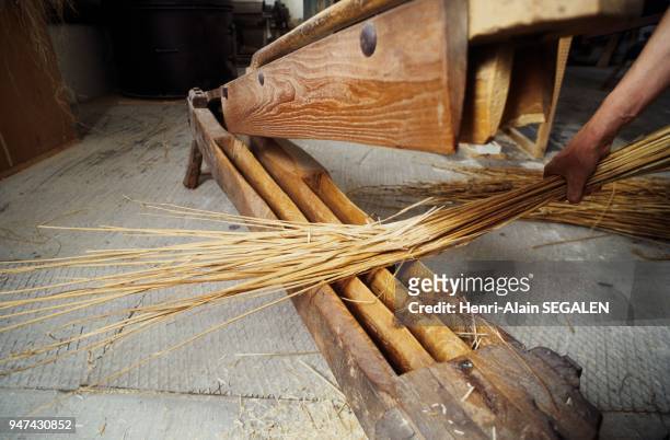 Re-enactment of gestures from long time ago. Hemp stripping : separation of the twine from the stalk with the aid of a crusher. Reconstitution de...