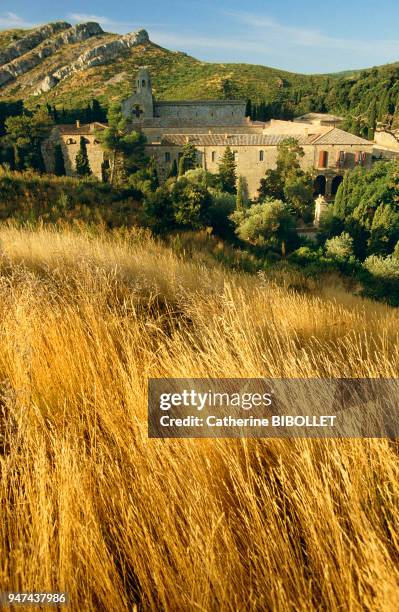 Nestled in a small valley lies the Cistercian abbey of Fontfroide, a haven of peace . Pays cathare: nichée dans un vallon retiré, havre de calme et...