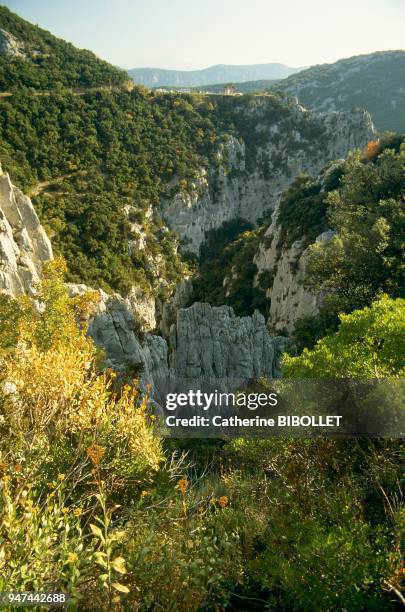 Aude, the Galamus Gorges, near the castle of Puilaurens. Between Corbieres and Fenouilledes, the impressive Galamus Gorges, formed throughout the...
