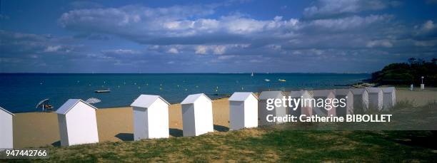 Re Island;Saint-Martin-en-Ré, Cible beach. Charente-Maritime: Ile de Ré;Saint-Martin-de-Ré, plage de la Cible.