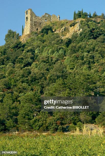 Aude, the ruins of the castle of Segure, in Les Corbieres. Pays cathare: Aude, les ruines du château de Ségure, dans les Corbières.