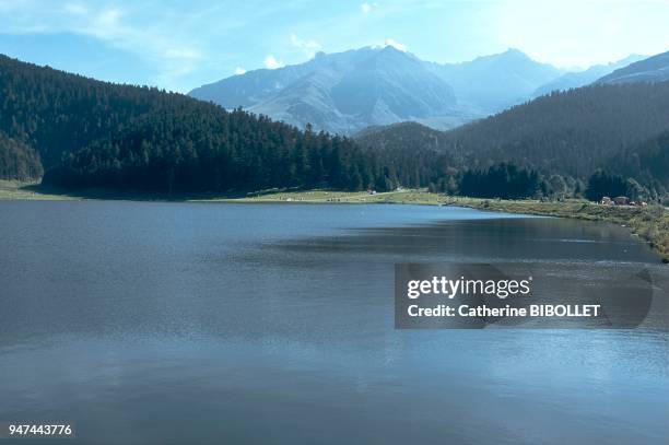 La Bigorre. Dans la vallée de Campan, le plateau de Payolle et son lac artificiel. Hautes-Pyrénées: La Bigorre. Dans la vallée de Campan, le plateau...