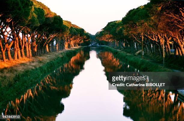 A canal linking the Canal du Midi to the Canal de la Robine, in the Minervois region . Pays cathare: Aude, canal de jonction reliant le canal du Midi...