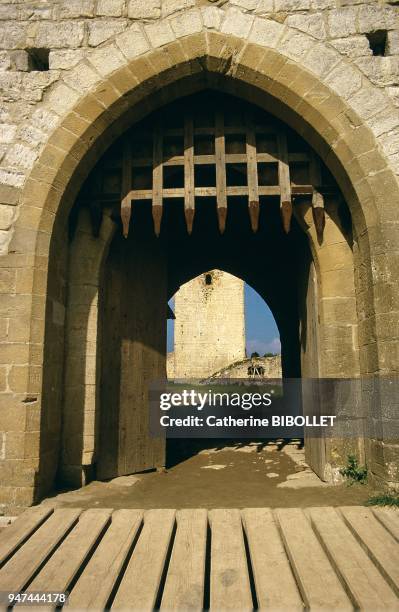 The majestic and serene ruins of Puivert castle rise above a valley of the Pyrenees Audoises. More attractive than defensive, they date back to the...