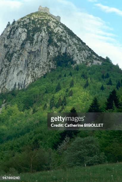 Le château de Montségur du haut de son pain de sucre boisé des pyrénées est un monument de la résistance Cathare: 1204-1244 Ariège: le château de...