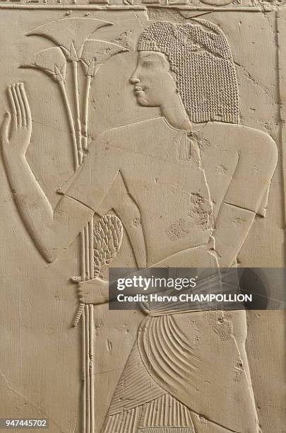 Egypt, papyrus carrier, tomb no. 55 of the Cheikh abd el-Gournah necropolis, West Thebes. The elegance of the procedure along with the realist...
