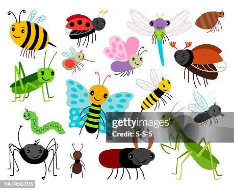 Cartoon Insects Vector Cute Insect Collection Fly And Ladybug Mantis ...
