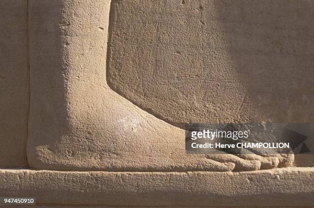Egypt, Foot, Temple of Sobek and Haoeris in Kom Ombo. Detail of a mural relief in the temple's south courtyard, this foot profile gives the...