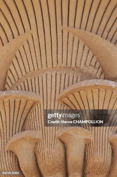 Egypt, chapiter, temple of Kertassi, Nubia. This chapiter presents a bouquet of papyrus whose flowers are stylized to an extreme. At its peak, the...