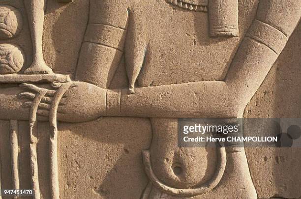 Egypt, god of the Nile. Temple of Sobek and Haoeris in Kom Ombo. The Nile god, with his breads and a vase. His sadly distended breast far from...