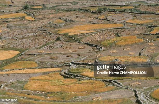 The plain in Padum. The summer and fall is dry in Zanskar, but the region still gets more precipitations than Ladakh, half of it being under the form...