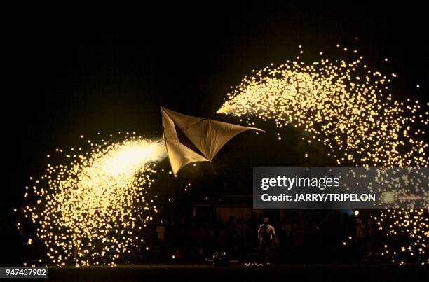 Night flight of a kite withfireworks Berck-sur-mer: volede nuit d' un cerf-volant avec feux d'artifices.