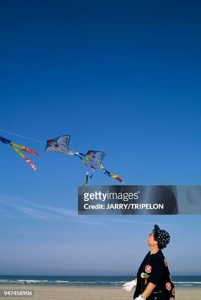 "train" kite of Massaki Modegi Berck-sur-mer: cerf-volant "train" de Massaki MODEGI .