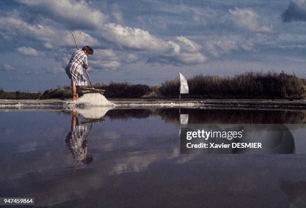 Mrs. Pedron harvesting coarse salt. Marais salants de "Guérande", Prise du gros sel, par madame Pédron la plus agée des paludières, dans ses...