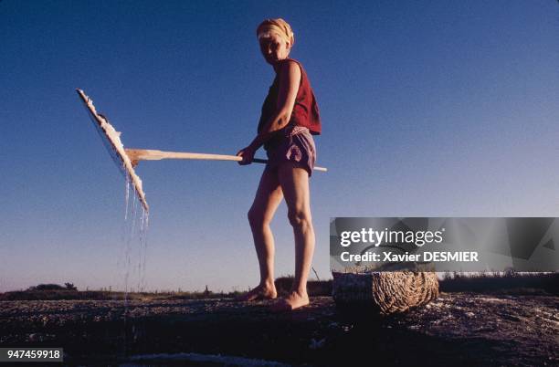 Fleur de sel harvester with a lousse . Marais salants de "Guérande", La "fleur" de sel est ramassée en soirée. C'est un dépot de sel qui se forme à...