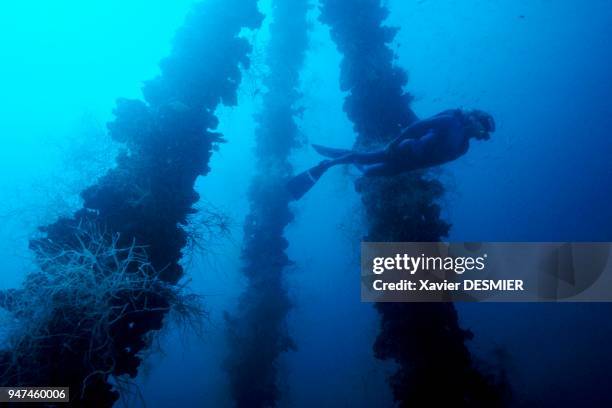 Jean-Michel Cousteau in the superstructures of the Iro Maru. Palau, Micronesia. Jean-Michel Cousteau dans les superstructures du Iro Maru. Palau,...