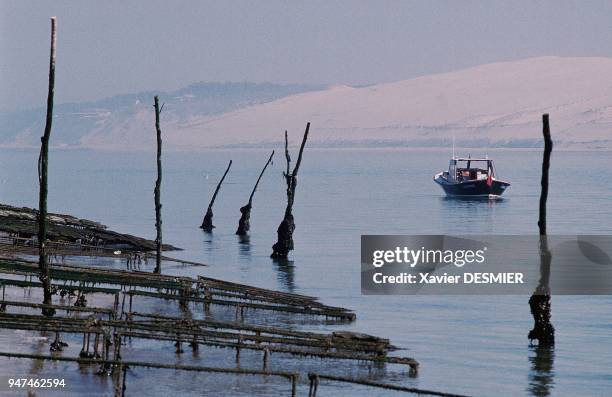 Bassin d'Arcachon, Le banc d'Arguin, Réserve Naturelle, où se sont développés de nombreux parc à huîtres. Situé en face de la fameuse dune du Pyla à...