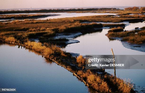 Bassin d'Arcachon, Le domaine de Certes et ses chenaux et vasières à marée haute. Situé derrière le chateau de Certes, ils sont une réserve pour une...