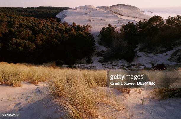 Bassin d'Arcachon, La dune du Pilat. C'est la plus haute dune d'Europe, sans cesse le sable est repoussé par les vents dominant venant de l'ouest....