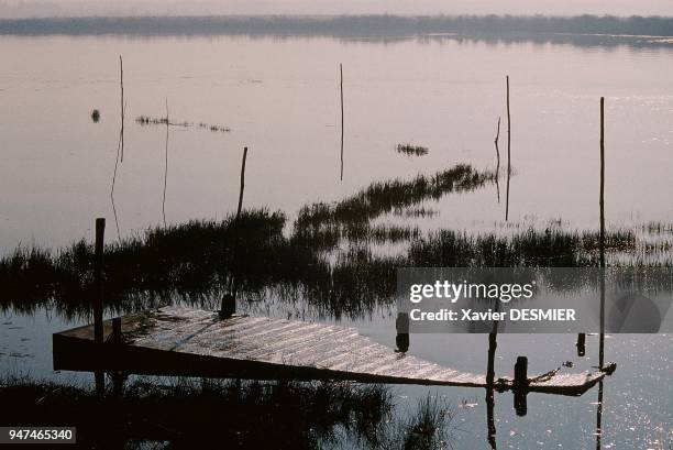 Bassin d'Arcachon, Le domaine de Certes et ses chenaux et vasières à marée haute. Situé derrière le chateau de Certes, ils sont une réserve pour une...