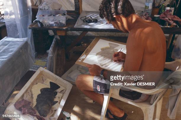 Clipperton atoll. The naturalistic Australian painter Roger Swainston doing the 'portrait' of a snapper. His drawings are well-known all over the...