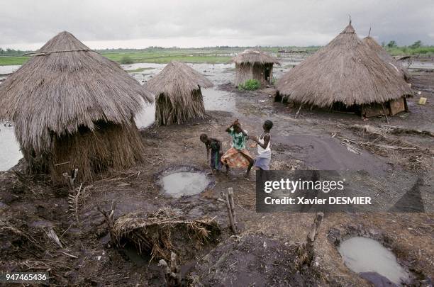 "Mangrove de Guinée. Malgr?? la vie difficile en mangrove, surtout en p??riode des pluies, la joie de vivre est souvent pr??sente. Campement de...