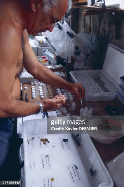 Clipperton atoll. Philippe Amade sorting the samples that have been taken when diving in order to find new therapeutic substances that could be used...
