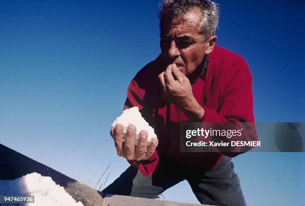 Marais salants de "Gu?rande", Alain Courtel, l'un des pr?curseurs du renouveau du sel gu?randais, dans les ann?es 70. Il est président de...