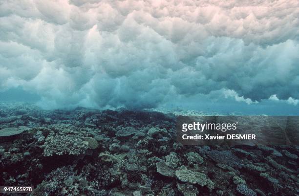 Nouvelle-Calédonie, La houle se brise sur le récif coralien et oxygène celui-ci. Récif Shelter à l'Ouest de Lifou . Nouvelle-Calédonie, La houle se...