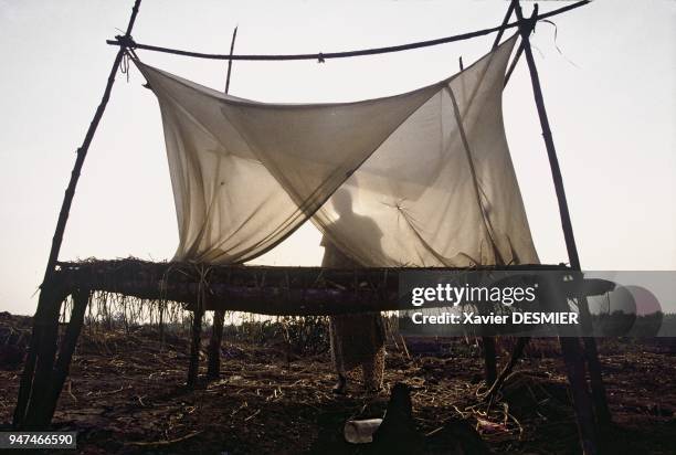 Mangrove de Guinée. L'habitat et la vie dans les campements pour la production de riz et de sel est pr??caire, en mangrove. Campement de Kans??,...