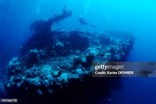 The front of the Fujikawa Maru and its cannon turret, with Jean-Michel Cousteau. Truk Lagoon, Micronesia. L'avant du Fujikawa Maru et son canon à...