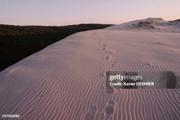 Bassin d'Arcachon, La dune du Pilat. C'est la plus haute dune d'Europe, sans cesse le sable est repoussé par les vents dominant venant de l'ouest....