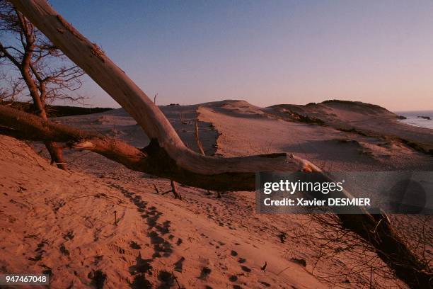 Bassin d'Arcachon, La dune du Pilat. C'est la plus haute dune d'Europe, sans cesse le sable est repoussé par les vents dominant venant de l'ouest....