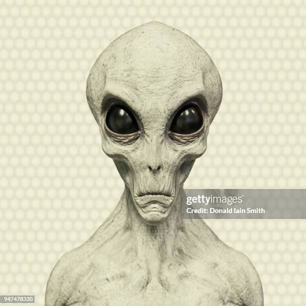 alien portrait - grey aliens stock pictures, royalty-free photos & images