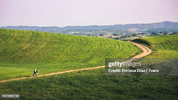 a motorbiker riding alone through the fields of the alentejo. of inland portugal - alentejo photos et images de collection