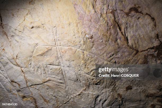 Cosquer cave: scientific exploration.
