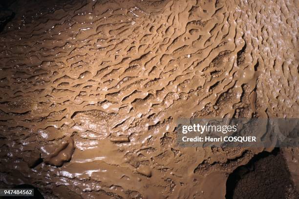 Cosquer cave: scientific exploration.
