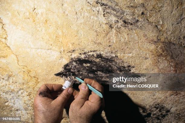Cosquer cave: scientific exploration.