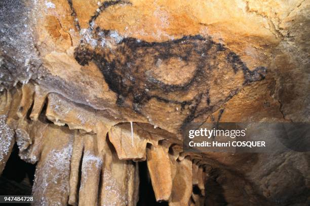 Cosquer cave: scientific exploration.