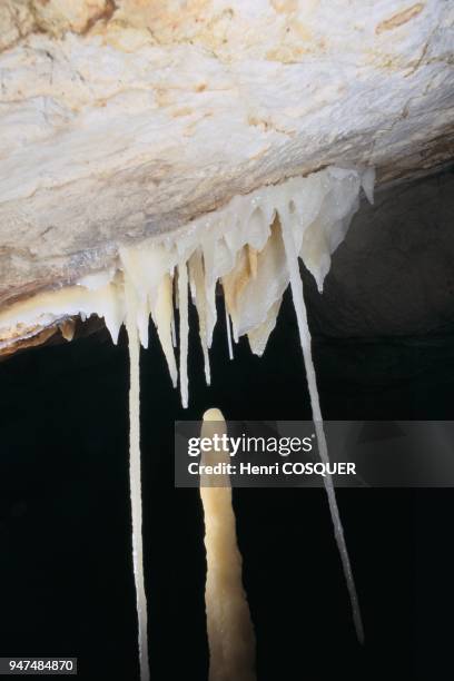 Cosquer cave: scientific exploration.