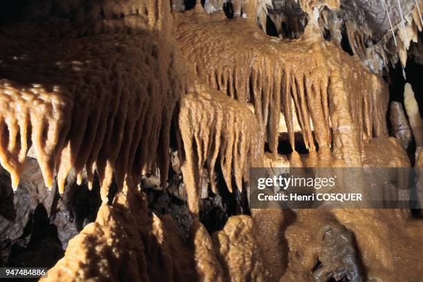 Cosquer cave: scientific exploration.